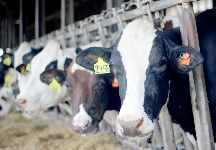 Farmers adapt, grow with advances in technology